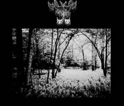 Catabolignes : Demo I Catabolignes : Demo I